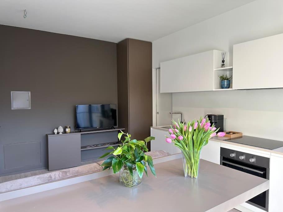 Riva 13 Apartment Lugano Ngoại thất bức ảnh